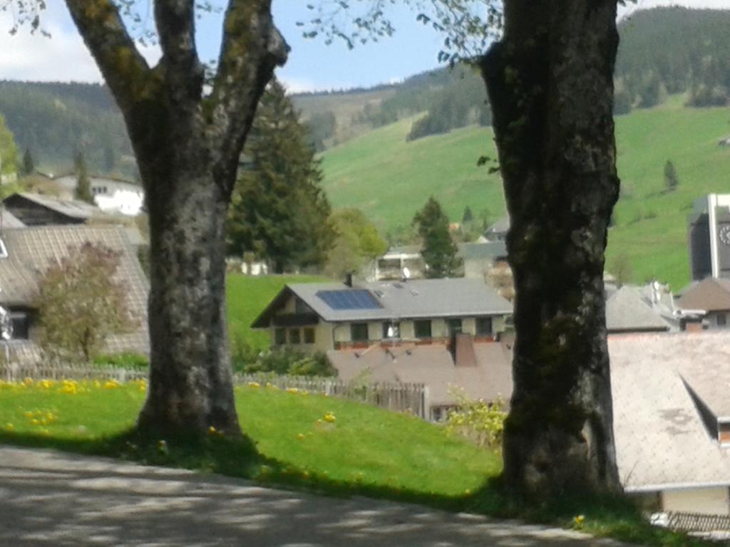 Hotel Sternen - Anno 1769 Todtnauberg Bilik gambar